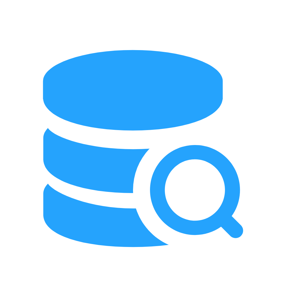 DNS 查询