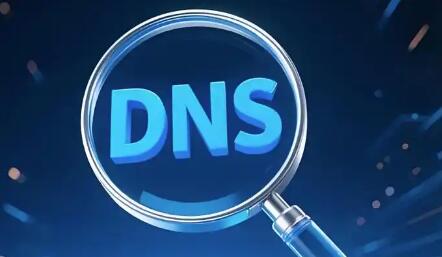 服务器迁移阶段，利用 DNS 查询完成解析基线核验