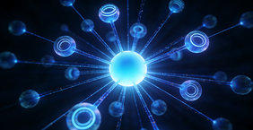 在线大揭秘 你的网站速度达标了吗？