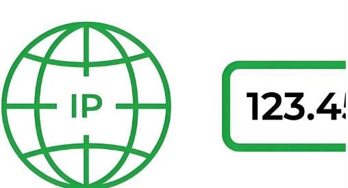 IP 查询辅助故障定位与配置核验