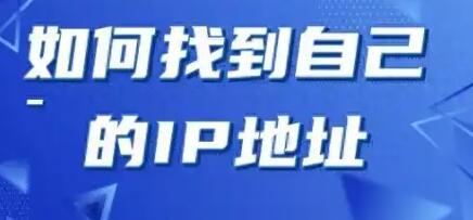 调试网络环境，利用本地 IP 查询完成配置基线核验