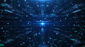 为什么现在域名喜欢查询SEO