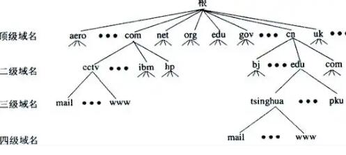 IP查询与DNS解析的关联机制